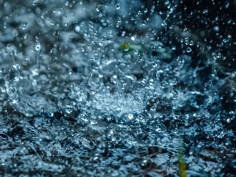 Raindrops splashing into pooled water.