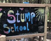 stump school