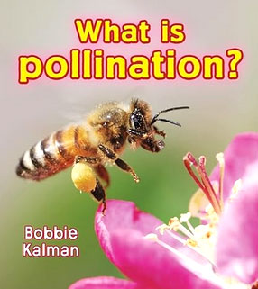 pollination book