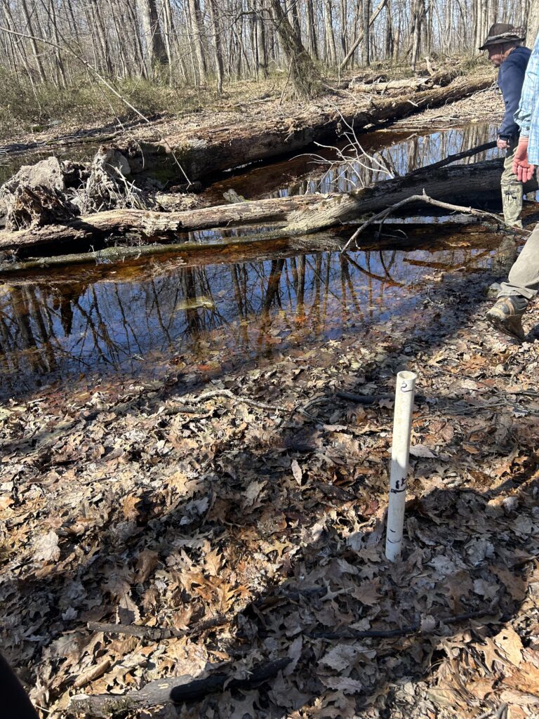 vernal-pools